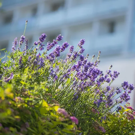 Sanatorium Uzdrowiskowe Baltyk 度假村