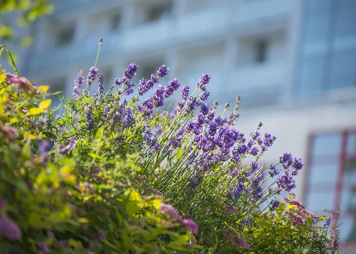 Sanatorium Uzdrowiskowe Baltyk Feriested